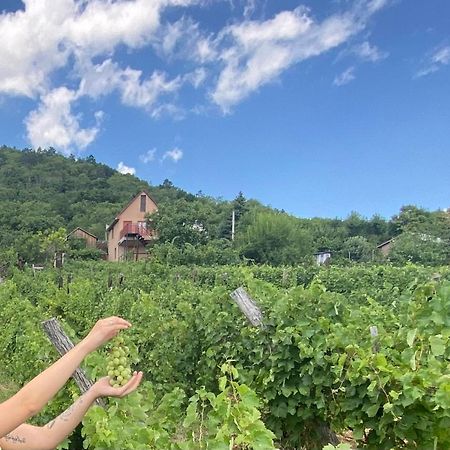 Feher Szolo Vendeghaz Sátoraljaújhely エクステリア 写真