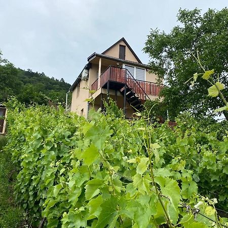 Feher Szolo Vendeghaz Sátoraljaújhely エクステリア 写真