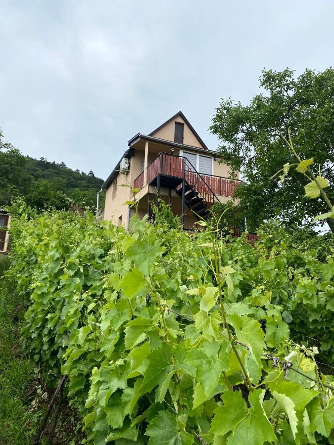 Feher Szolo Vendeghaz Sátoraljaújhely エクステリア 写真